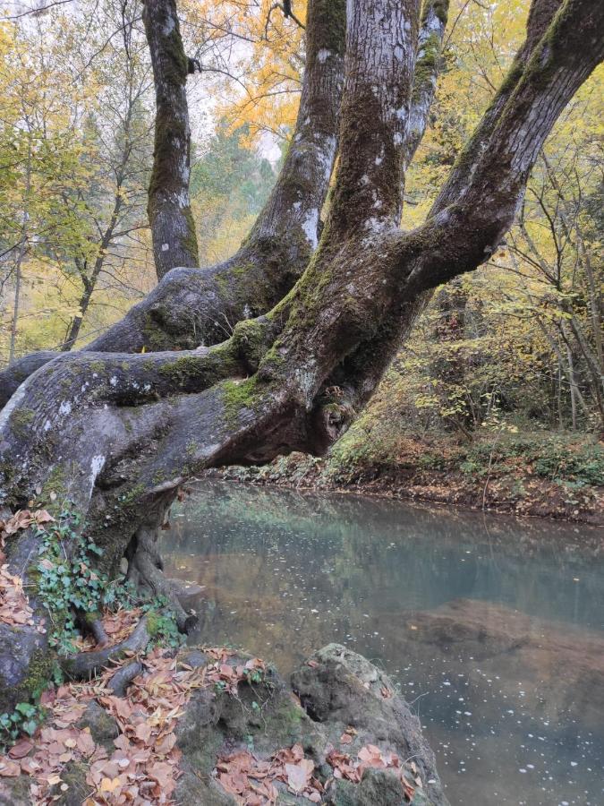 Alojamientos Rurales La Hoz Beteta Buitenkant foto